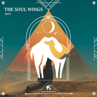 The Soul Wings