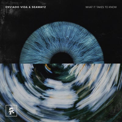 What It Takes To Know (Extended Mix)