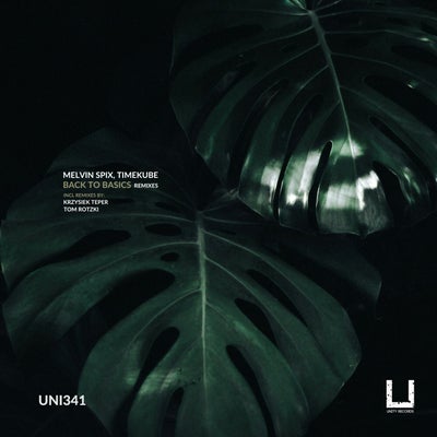 Back to Basics Remixes