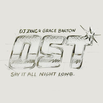 Say It All Night Long