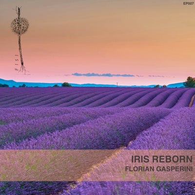 Iris Reborn