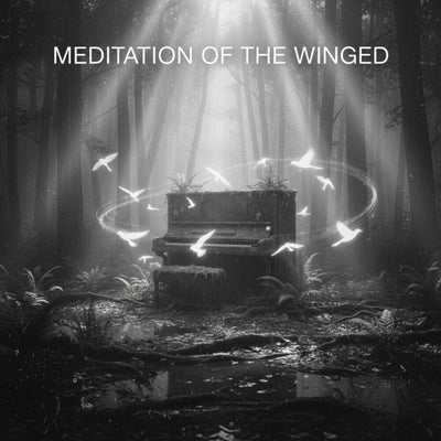 Meditation night inspiration