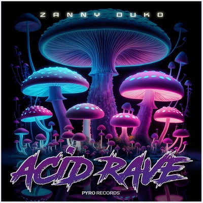 Acid Rave (The Extended Mixes)