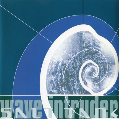 Wave Intruders