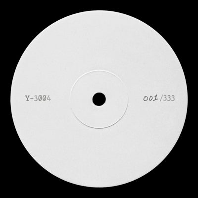 Y-3004