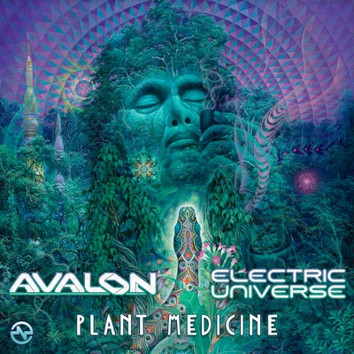 Plant Medicine