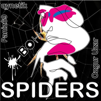 Spiders