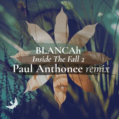 Inside the Fall 2