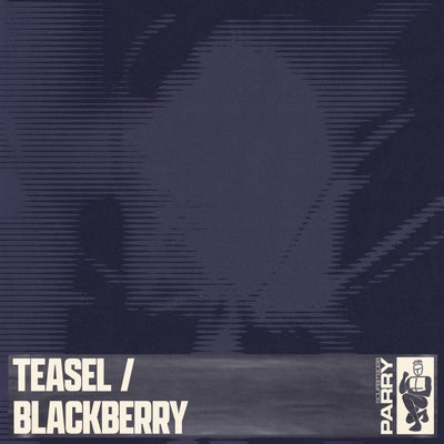Teasel / Blackberry
