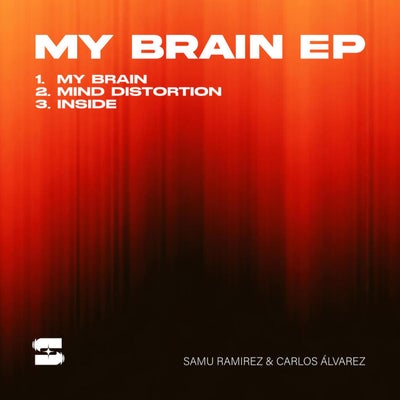 My Brain
