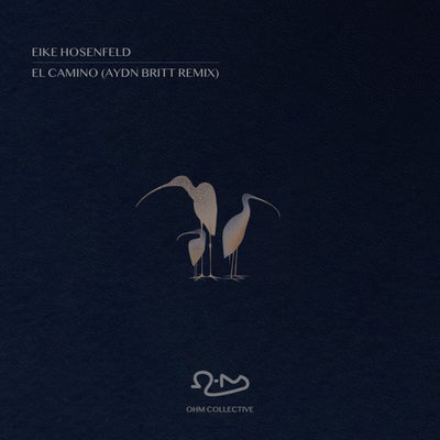 El Camino Aydn Britt Remix