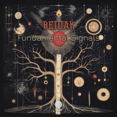 Fundamental Signals