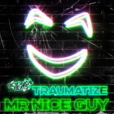 Mr Nice Guy