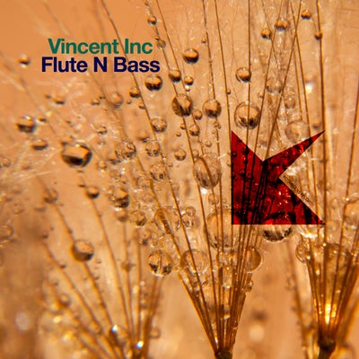 Flute N Bass
