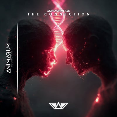 The Connection (Extended Mix)