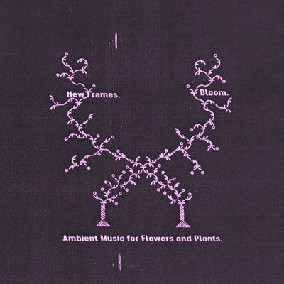 Bloom. Ambient Music for Flowers and Plants.