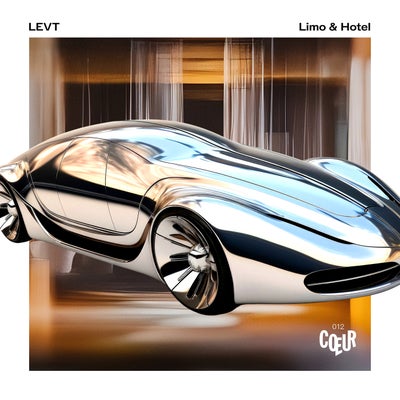 Limo & Hotel