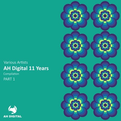 AH Digital 11 Years, Pt. 1
