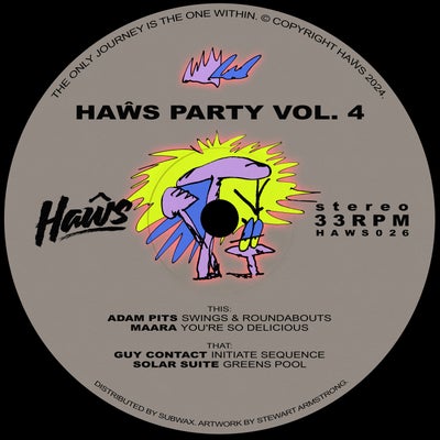 Ha&#373;s Party Vol. 4