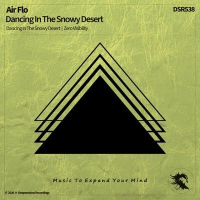 Dancing In The Snowy Desert