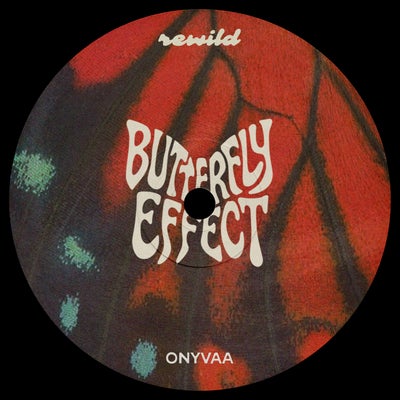 Butterfly Effect