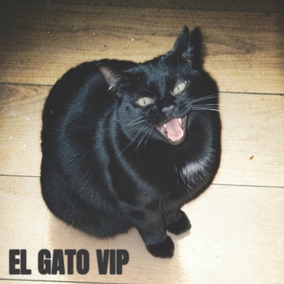 El Gato (VIP)