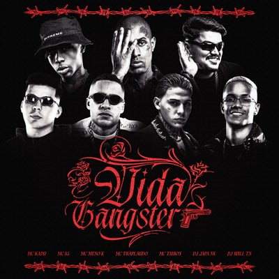 VIDA GANGSTER