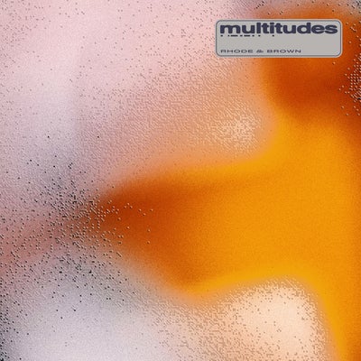 Multitudes