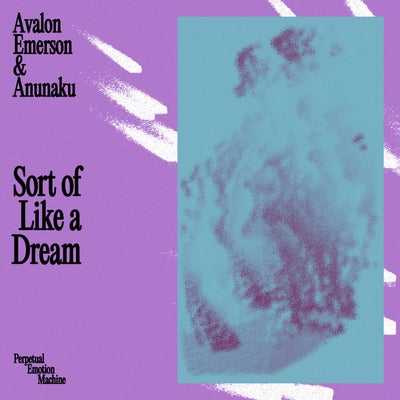 Sort of Like a Dream