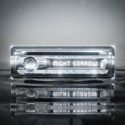 Night Sorrow