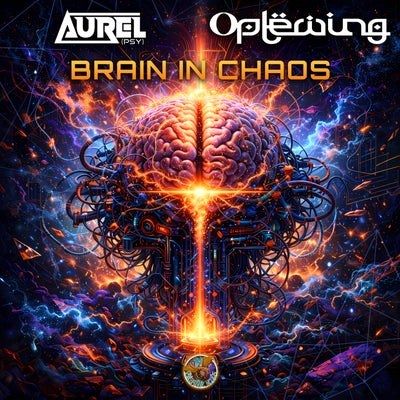 Brain in Chaos