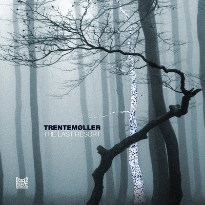 Into The Trees (Serenetti, Pt. 3)
