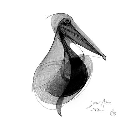 Pelican