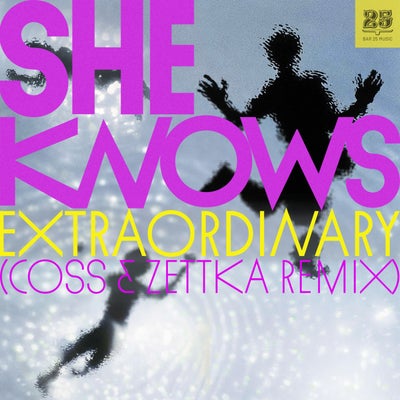 Extraordinary (coss x Zettka Remix)