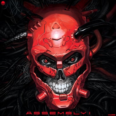 ASSEMBLY I
