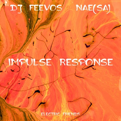 Impulse Responses