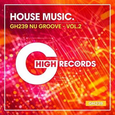 Nu Groove - Vol.2 