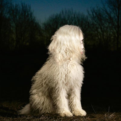 DOGA