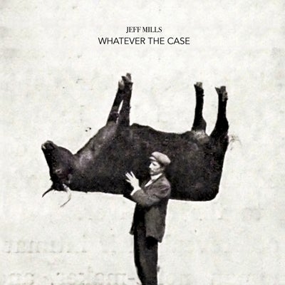 Whatever The Case