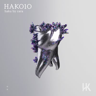 HAK010
