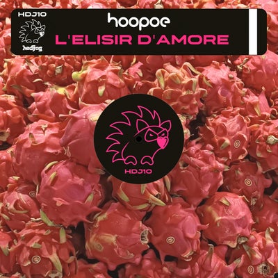 L'Elisir d'Amore