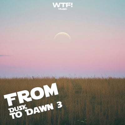 From Dusk To Dawn 3