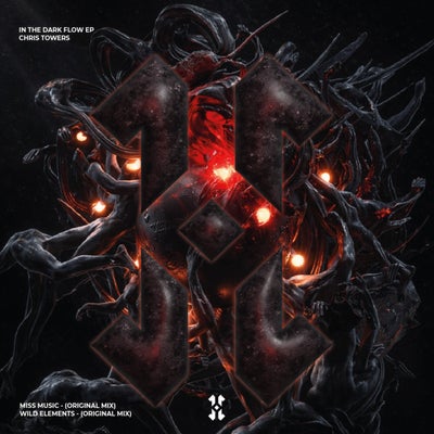 In The Dark Flow EP