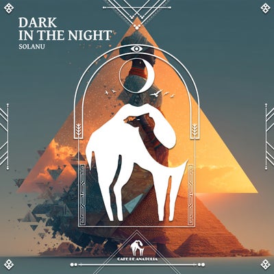 Dark in the Night
