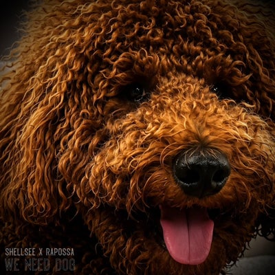 We Need Dog