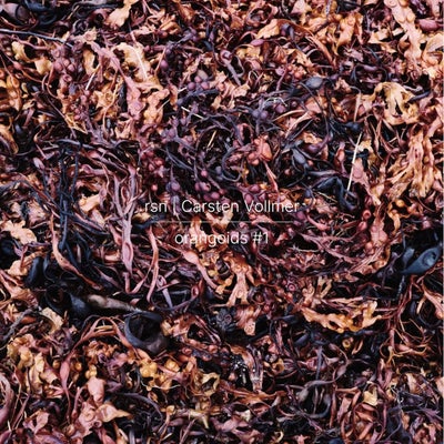 organoids #1