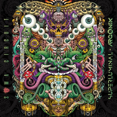 Soma Circuit