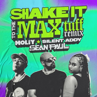 Shake It To The Max 