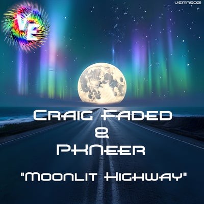 Moonlit Highway