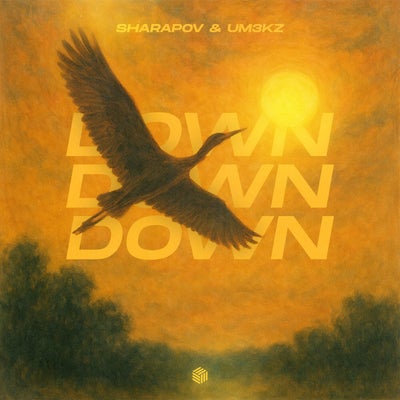 Down